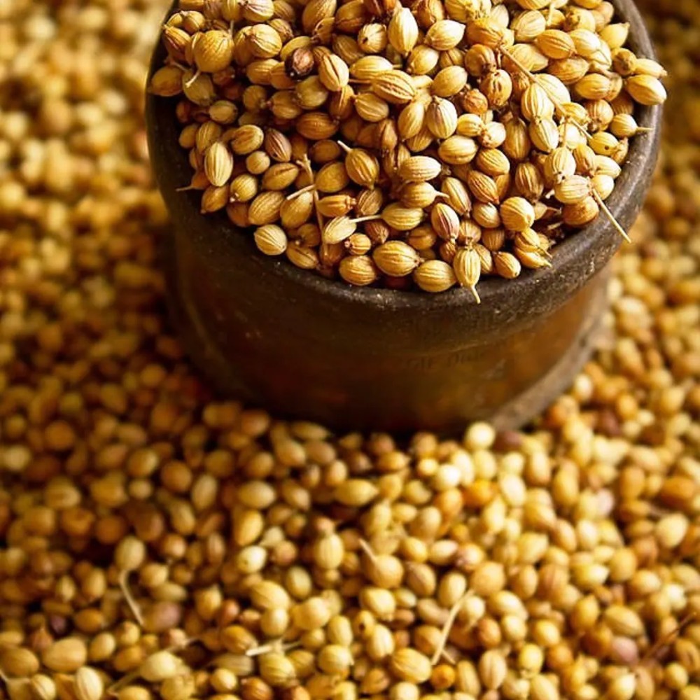 Coriander seeds